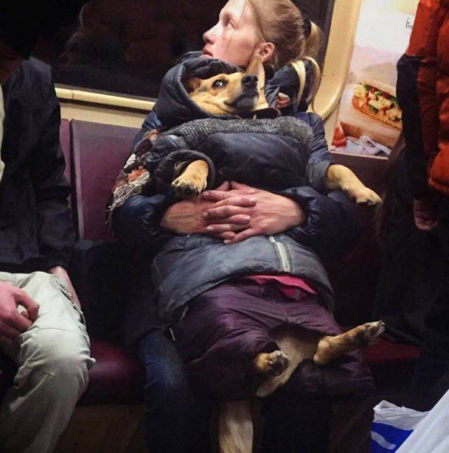 daily picdump 99 pics 44.html - 99 HD Photos | Premium Gallery 2017