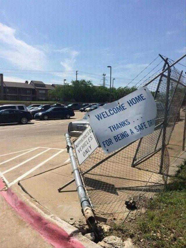 daily picdump 99 pics 44.html - 99 HD Photos | Premium Gallery 2017