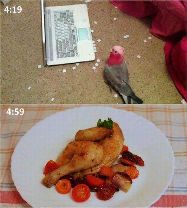 daily picdump 99 pics 44.html - 99 HD Photos | Premium Gallery 2017