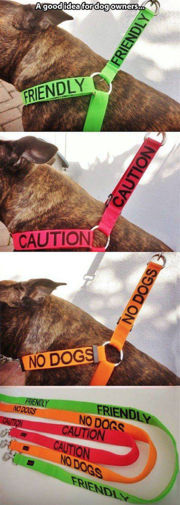 Hmm, These Are Really Clever!