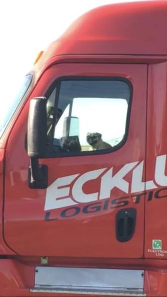 morning picdump 51 pics 3.html - 51 HD Photos | Premium Gallery 2017