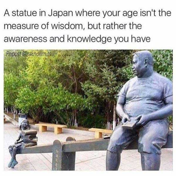 funny picdump 53 pics 21.html - 53 HD Photos | Premium Gallery 2017