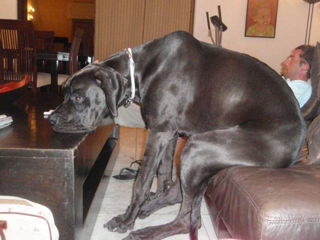 daily picdump 95 pics 10.html - 95 HD Photos | Premium Gallery 2017