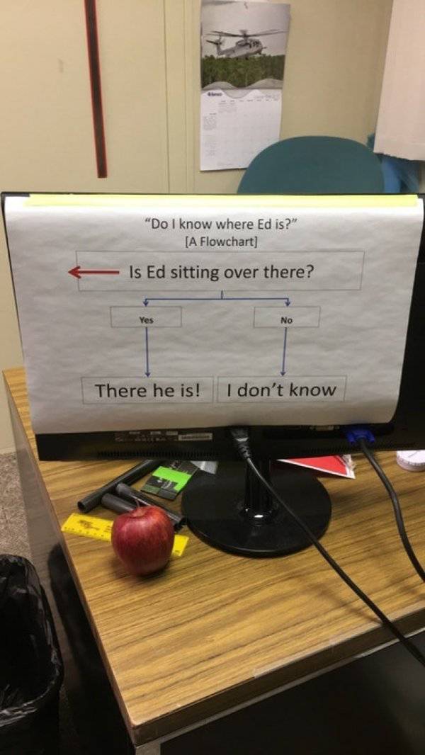 Morning Picdump