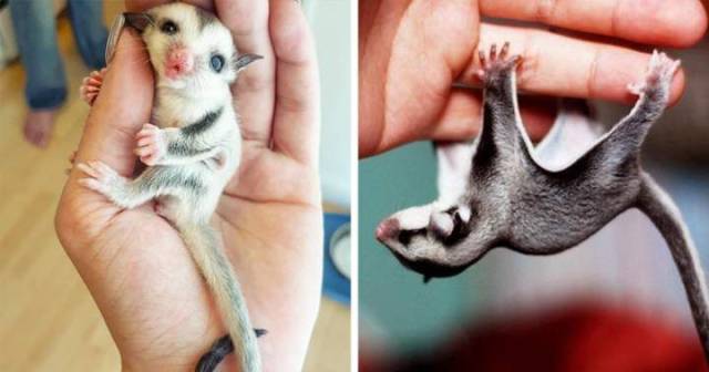 daily picdump 96 pics 1.html - 96 HD Photos | Premium Gallery 2017