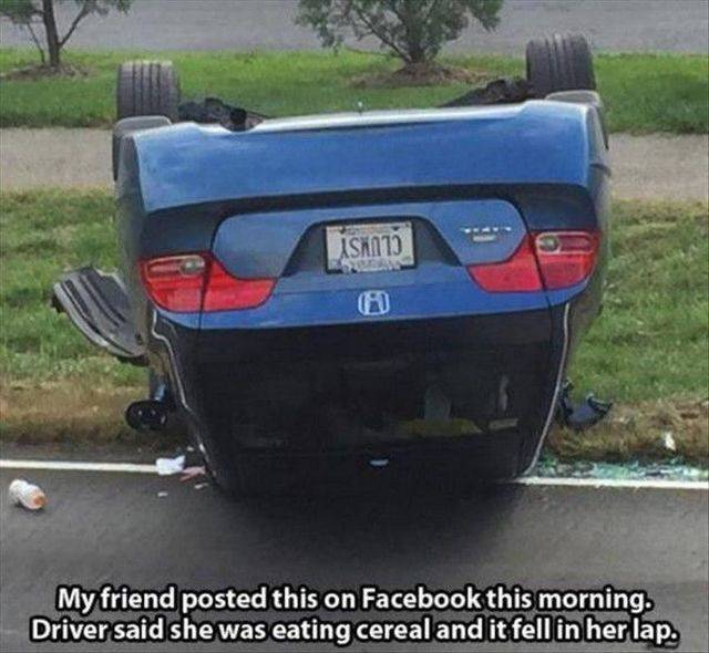 Daily Picdump