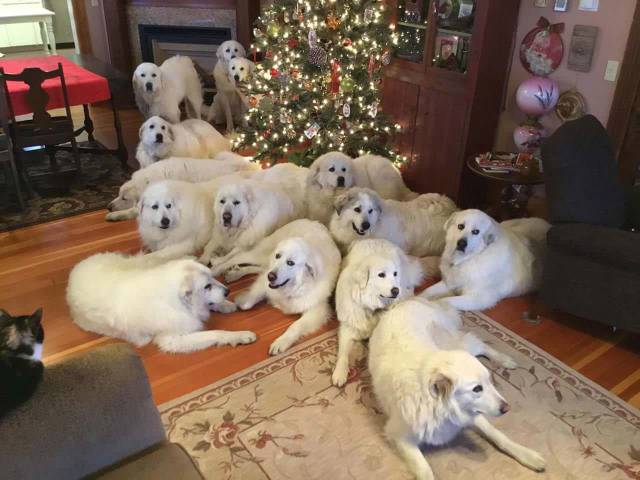 daily picdump 92 pics 21.html - 92 HD Photos | Premium Gallery 2017