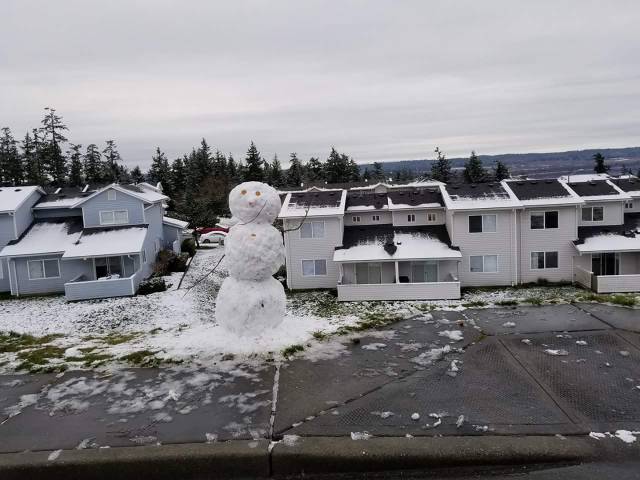 Morning Picdump