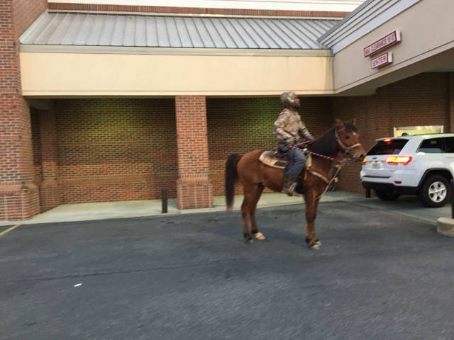 morning picdump 52 pics 14.html - 52 HD Photos | Premium Gallery 2017