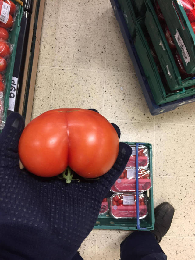 morning picdump 52 pics 14.html - 52 HD Photos | Premium Gallery 2017