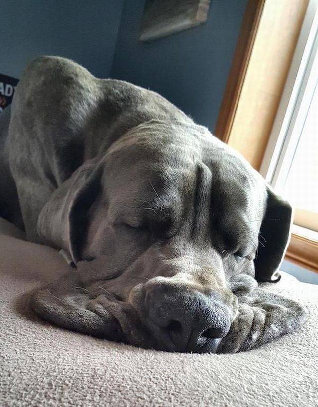 daily picdump 92 pics 4.html - 92 HD Photos | Premium Gallery 2017