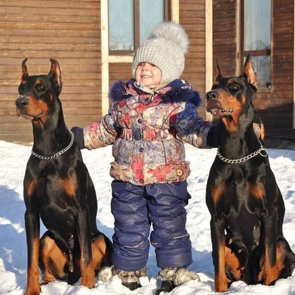 daily picdump 99 pics 47.html - 99 HD Photos | Premium Gallery 2018