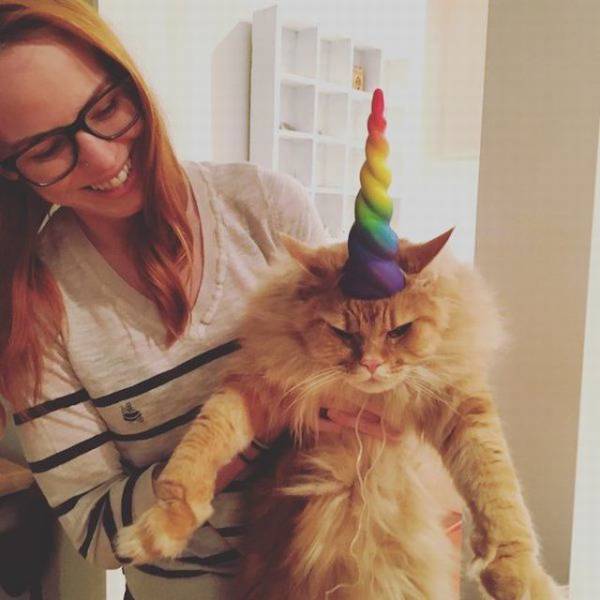 daily picdump 99 pics 47.html - 99 HD Photos | Premium Gallery 2018