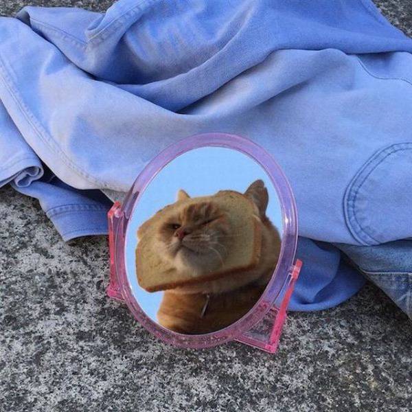 daily picdump 99 pics 47.html - 99 HD Photos | Premium Gallery 2018