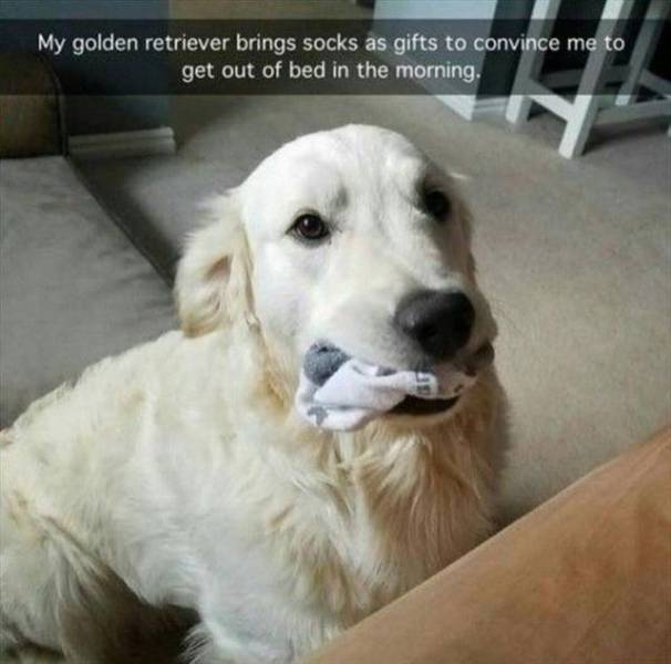 daily picdump 99 pics 47.html - 99 HD Photos | Premium Gallery 2018