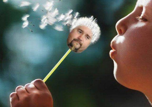 daily picdump 99 pics 47.html - 99 HD Photos | Premium Gallery 2018