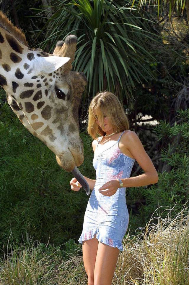 Daily Picdump