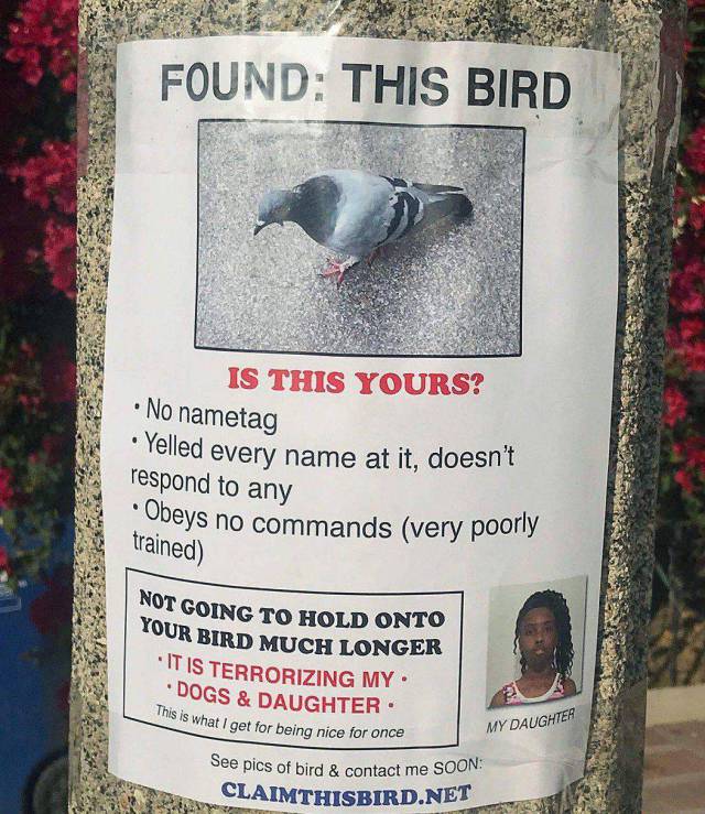 daily picdump 99 pics 47.html - 99 HD Photos | Premium Gallery 2018