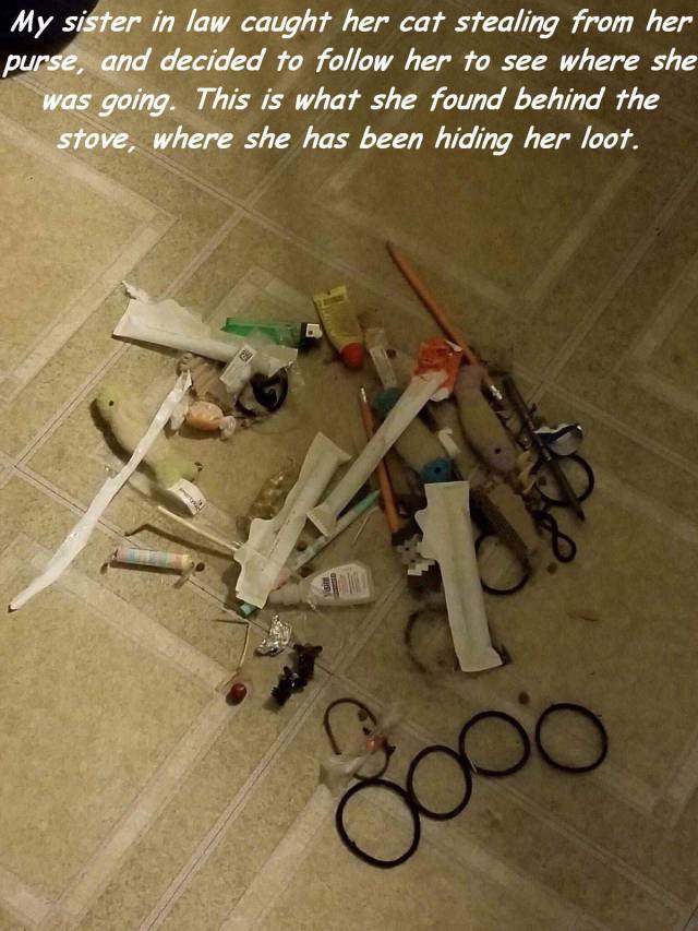 daily picdump 99 pics 47.html - 99 HD Photos | Premium Gallery 2018