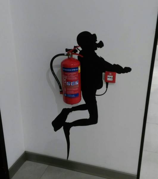 Morning Picdump