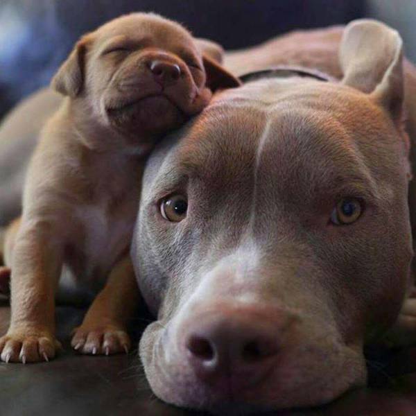 morning picdump 53 pics 21.html - 53 HD Photos | Premium Gallery 2018