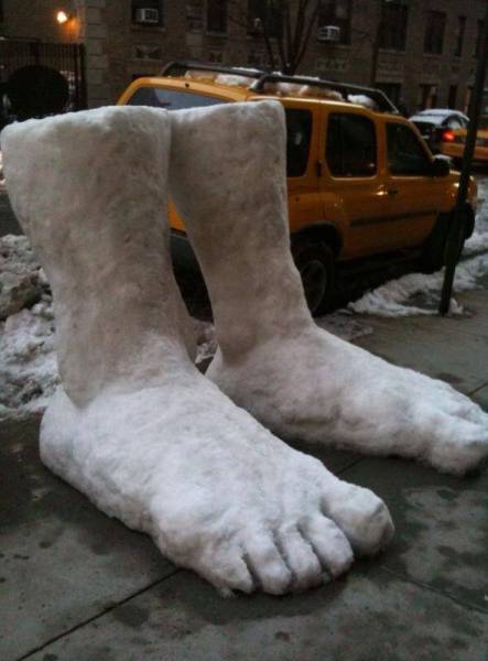 daily picdump weekend edition 52 pics 2.html - 52 HD Photos | Premium Gallery 2018