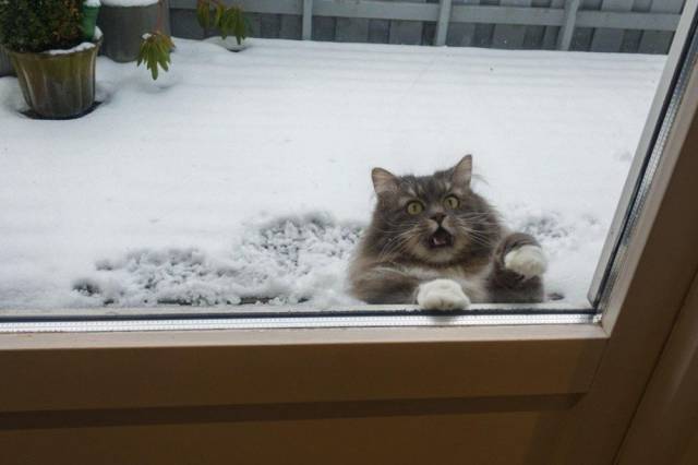 daily picdump weekend edition 52 pics 2.html - 52 HD Photos | Premium Gallery 2018