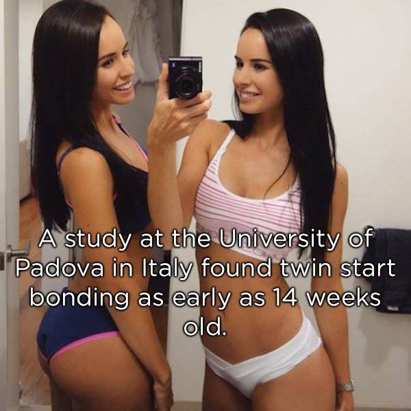 Identical Facts About Twins