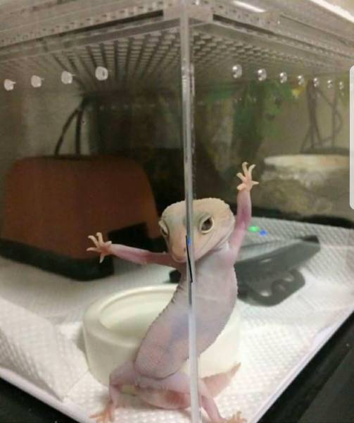 morning picdump 54 pics 11.html - 54 HD Photos | Premium Gallery 2018