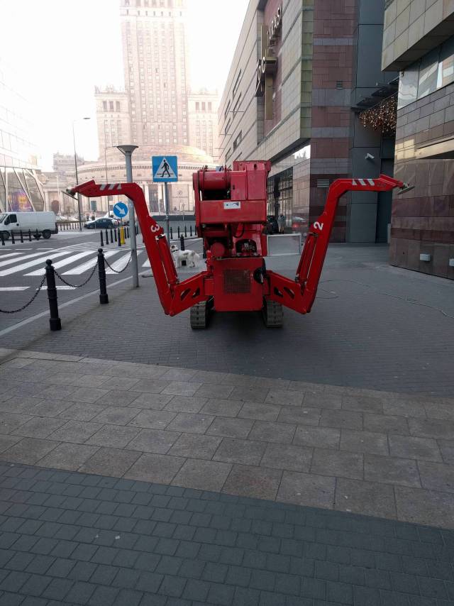 Morning Picdump