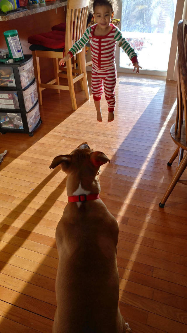 morning picdump 54 pics 11.html - 54 HD Photos | Premium Gallery 2018