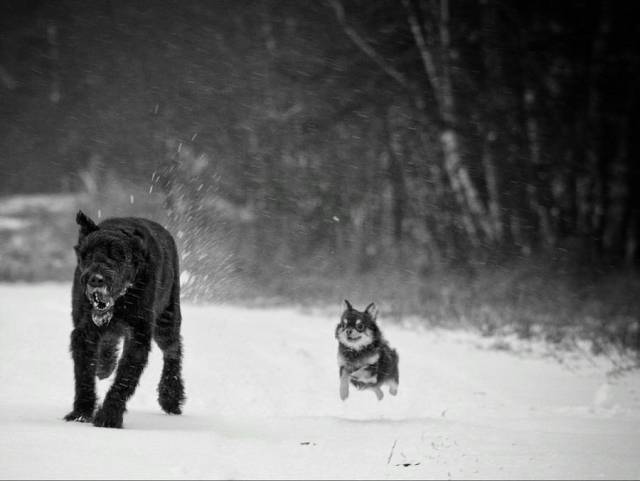 daily picdump 105 pics 38.html - 105 HD Photos | Premium Gallery 2018