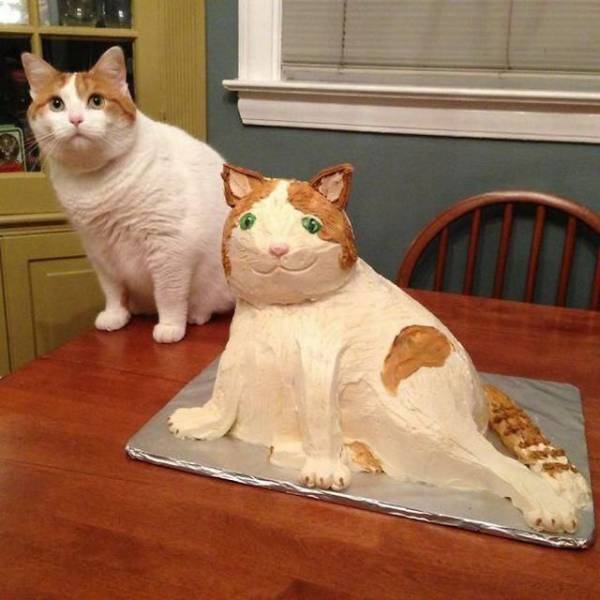 daily picdump 105 pics 38.html - 105 HD Photos | Premium Gallery 2018