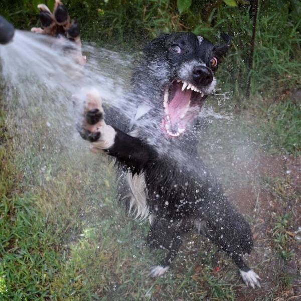 daily picdump 105 pics 38.html - 105 HD Photos | Premium Gallery 2018