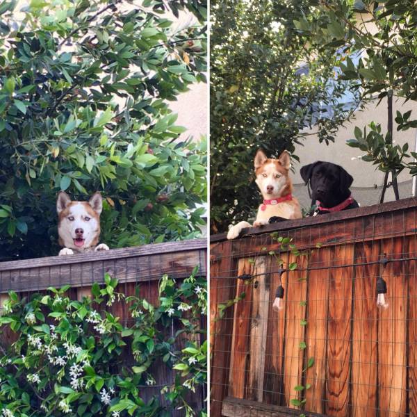daily picdump 105 pics 38.html - 105 HD Photos | Premium Gallery 2018