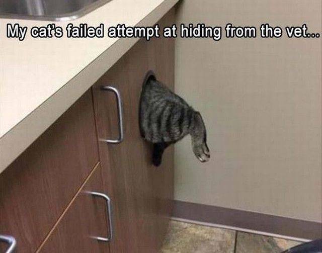 daily picdump 105 pics 38.html - 105 HD Photos | Premium Gallery 2018