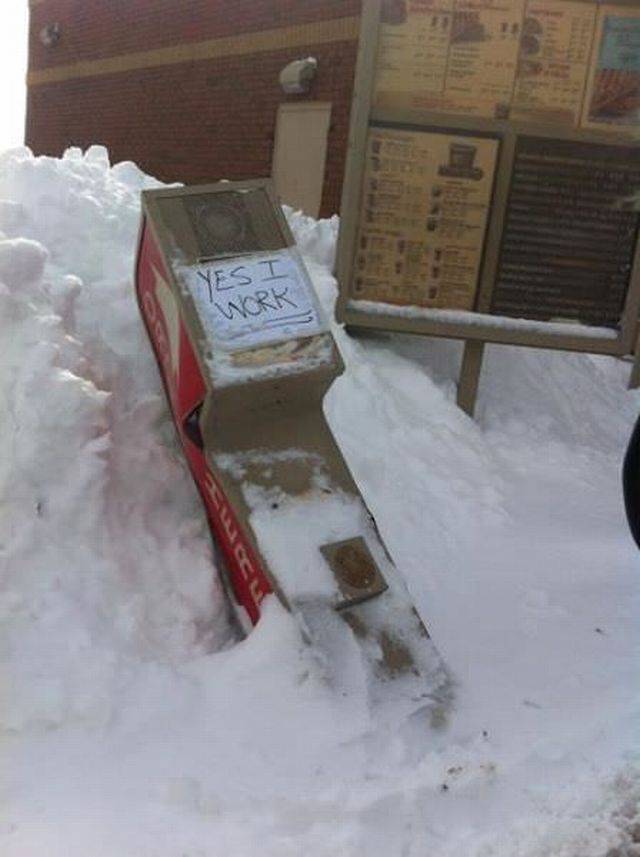 Daily Picdump