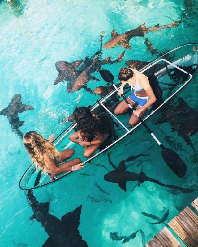 daily picdump 105 pics 38.html - 105 HD Photos | Premium Gallery 2018