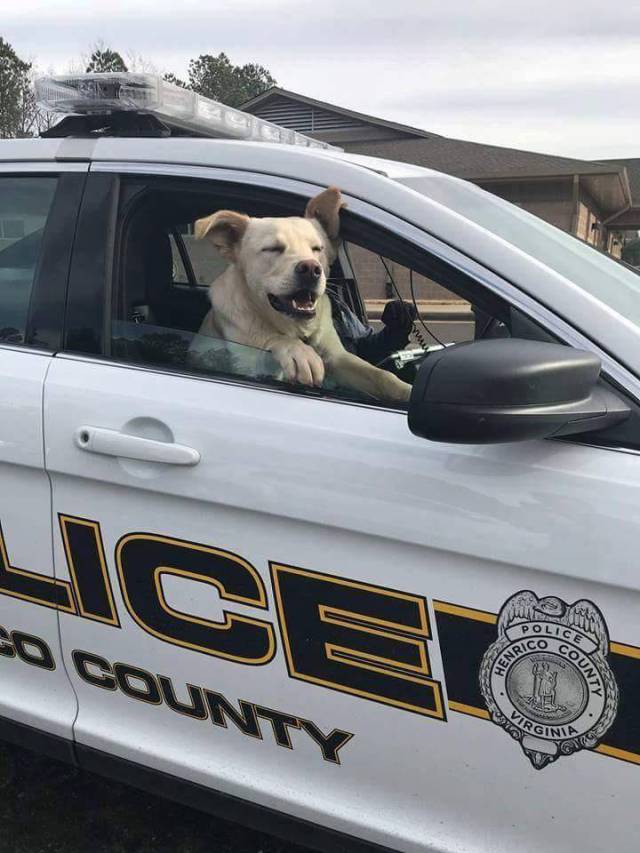 daily picdump 105 pics 38.html - 105 HD Photos | Premium Gallery 2018