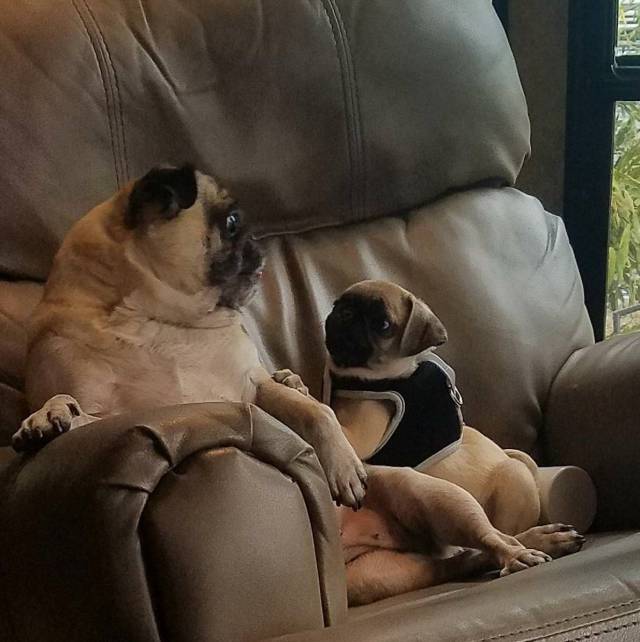 daily picdump 105 pics 38.html - 105 HD Photos | Premium Gallery 2018