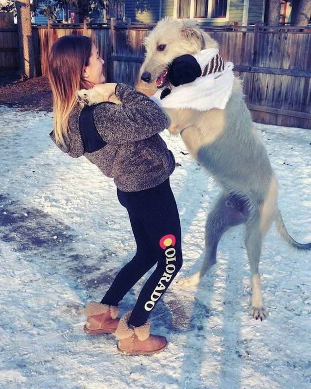 daily picdump 105 pics 38.html - 105 HD Photos | Premium Gallery 2018