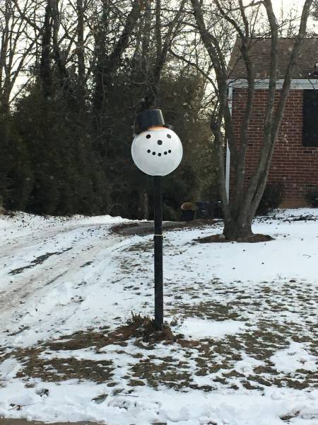 Morning Picdump
