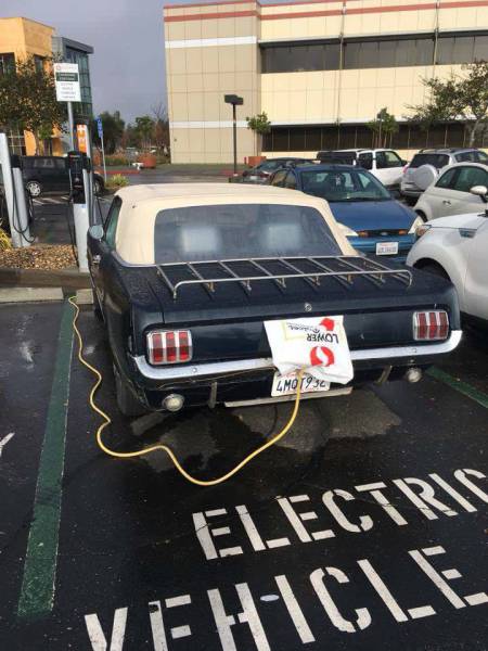Morning Picdump