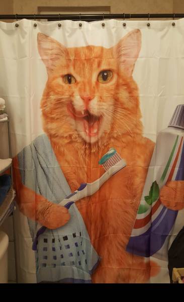morning picdump 49 pics 9.html - 49 HD Photos | Premium Gallery 2018