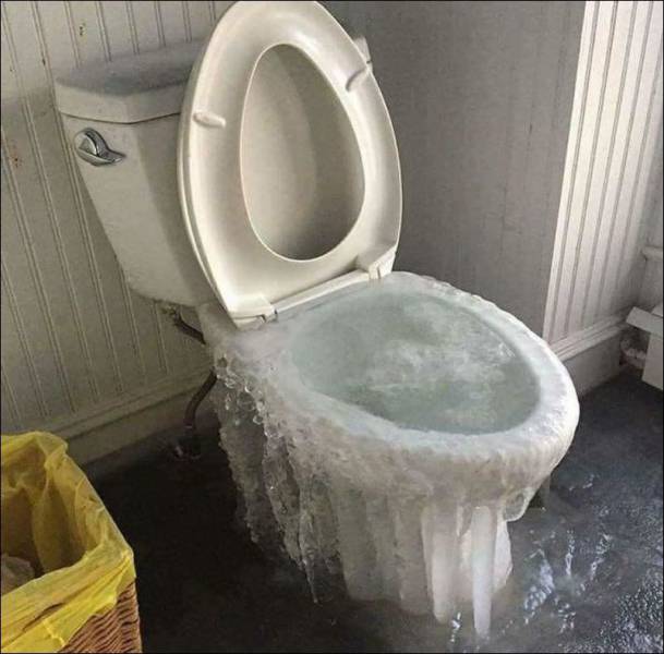 Daily Picdump