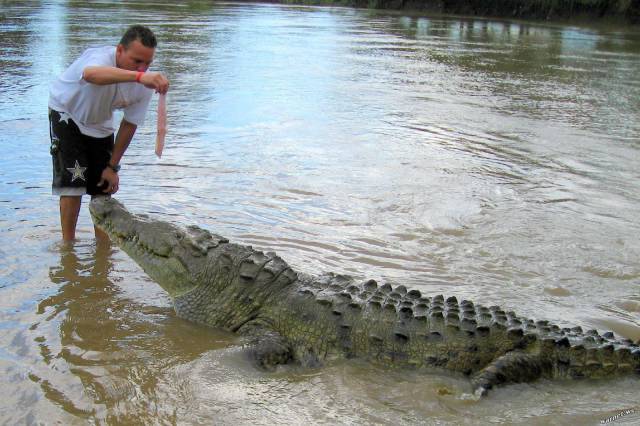 Daily Picdump