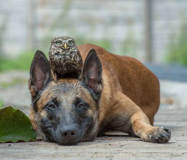 Daily Picdump