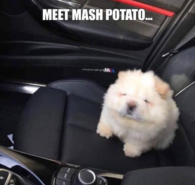 Daily Picdump