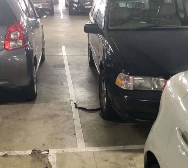 daily picdump 94 pics 39.html - 94 HD Photos | Premium Gallery 2018