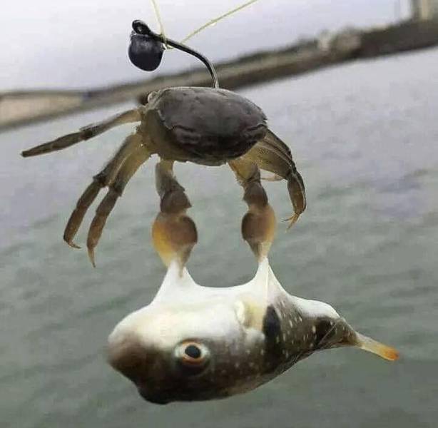 daily picdump 94 pics 39.html - 94 HD Photos | Premium Gallery 2018